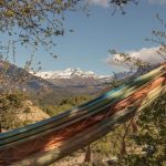 Hammock with views