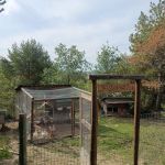 Chicken coop